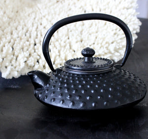 Oriental cast iron tea pot