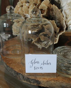 Glass Cloche