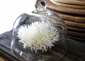 Glass display dome